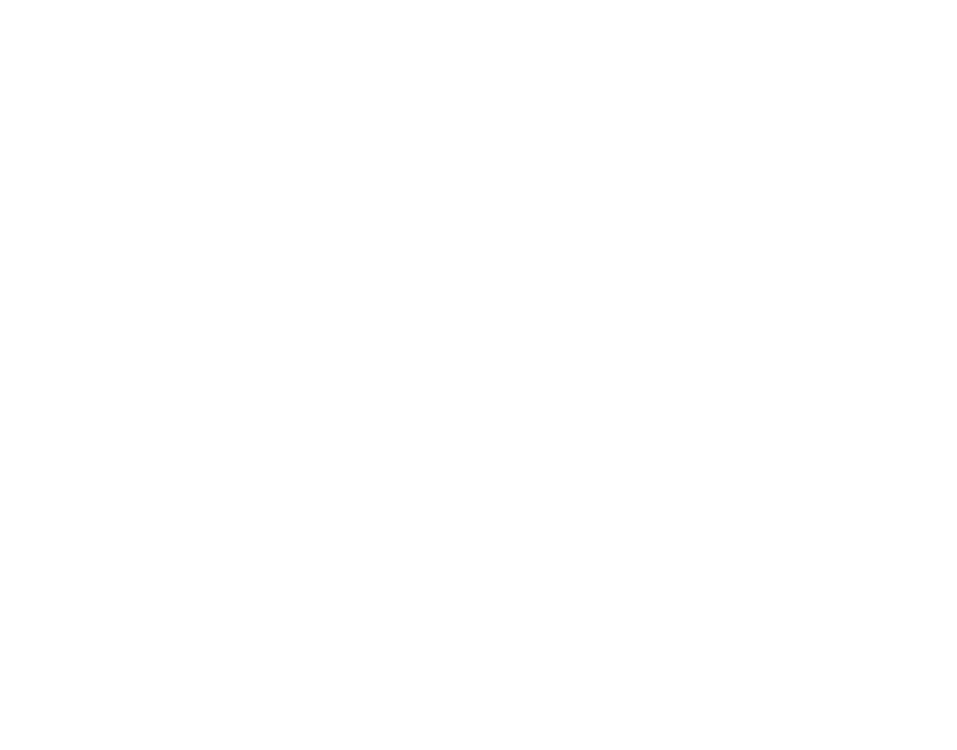 RAPiZZA